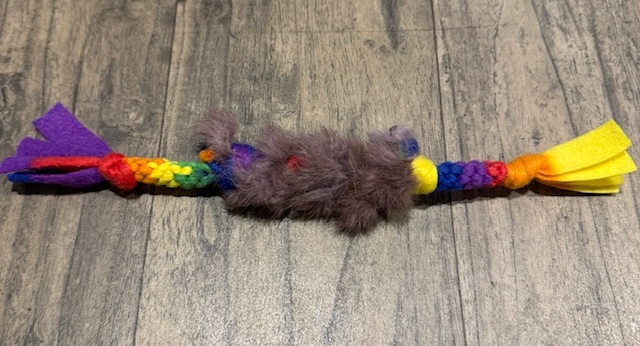 Fleece Sheepy Tuggy - Puppy (Rainbow)