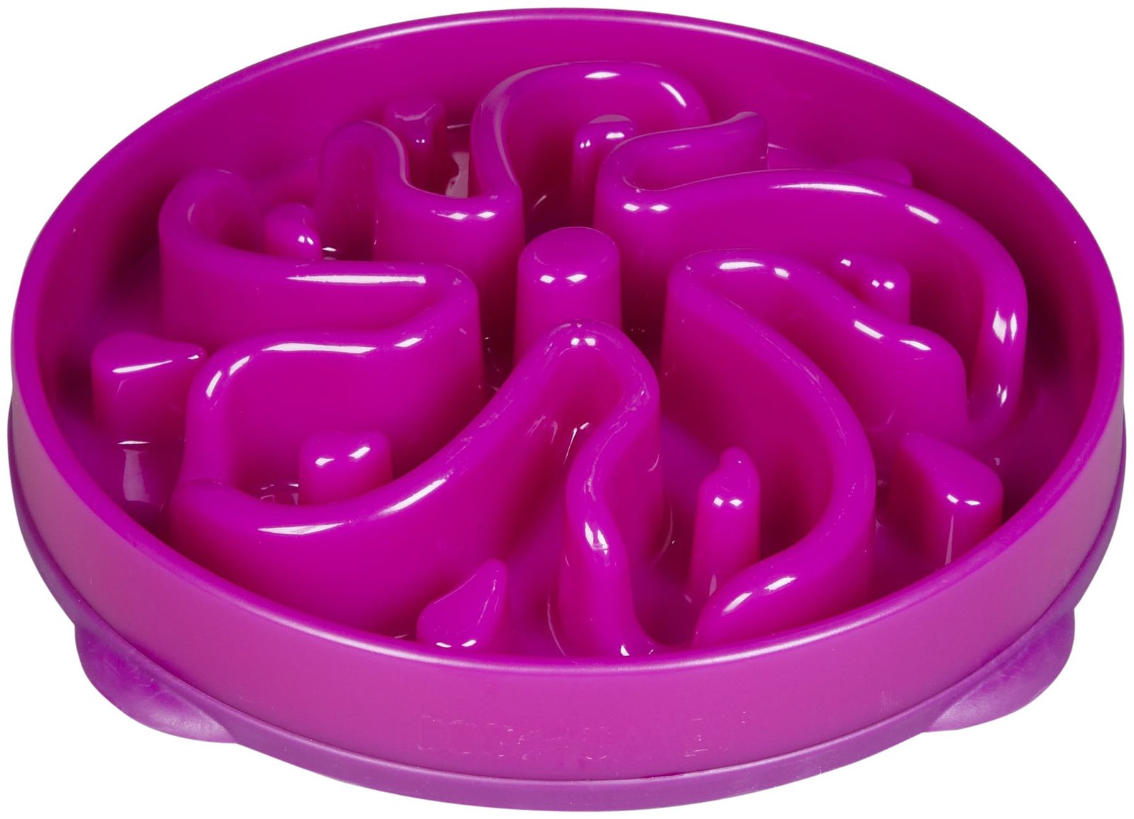 maze bowl for cats